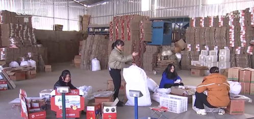 产销地仓助推 土特产 卖得更远 激发乡村振兴内生动力