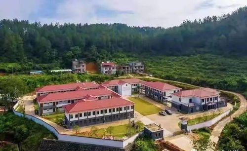 于都县城关小学2021年春学期 思政教育 开学第一课