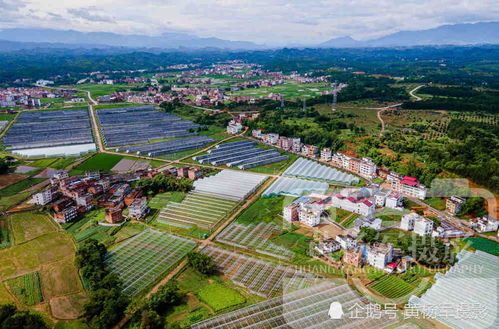 江西蔬菜产业发展重点县,富硒产品丰富,赣州人知道是哪个县吗