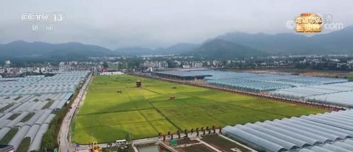 走进老区看新貌 江西于都成大湾区优质富硒产品供应基地