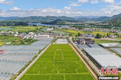 航拍江西于都万亩富硒蔬菜产业园