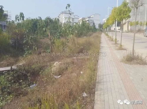 于都县岭背镇成交一宗地,成交总价263.13万元