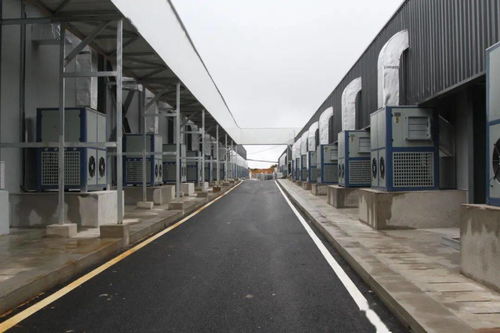 全国首家自主知识产权全智能化 工厂化白参菌栽培工厂即将投产