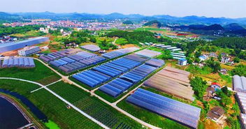 争当排头兵 西充全力建设 中国有机食品第一县