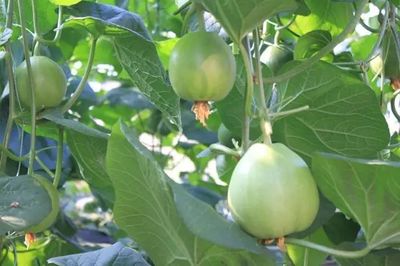 高大上!于都这家高科技博览园受到各级媒体关注