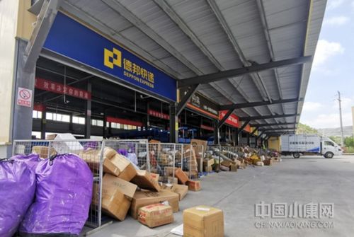 津甘协作花 绽放红土地 农产品一键出山 环县电子商务产业园巡礼