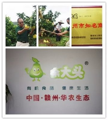 于都县“十大创业明星”和“十大工匠”事迹展播